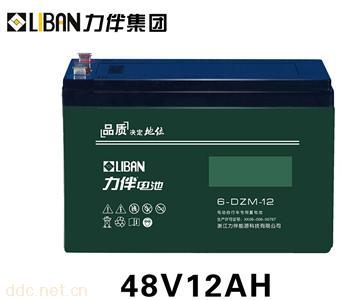  电动车专用电池6-DZM-12